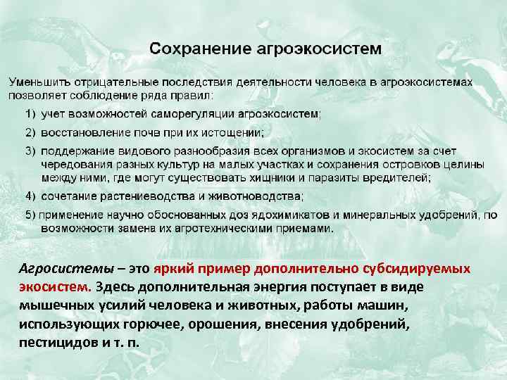 Агросистемы – это яркий пример дополнительно субсидируемых экосистем. Здесь дополнительная энергия поступает в виде