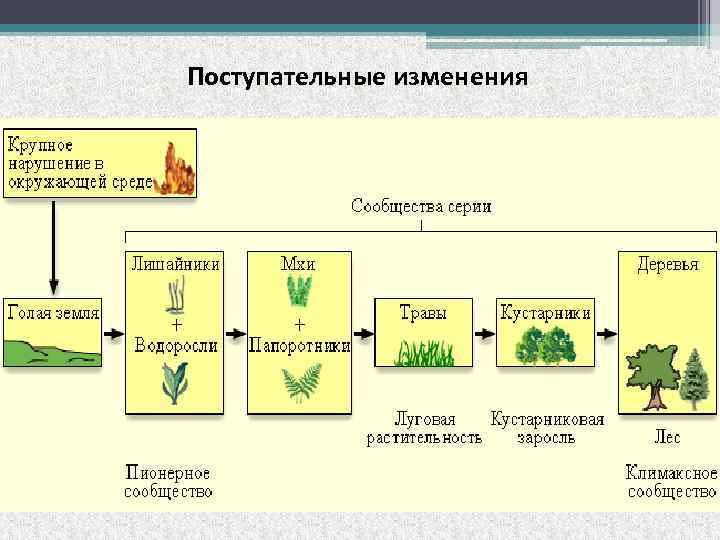 Поступательные изменения 