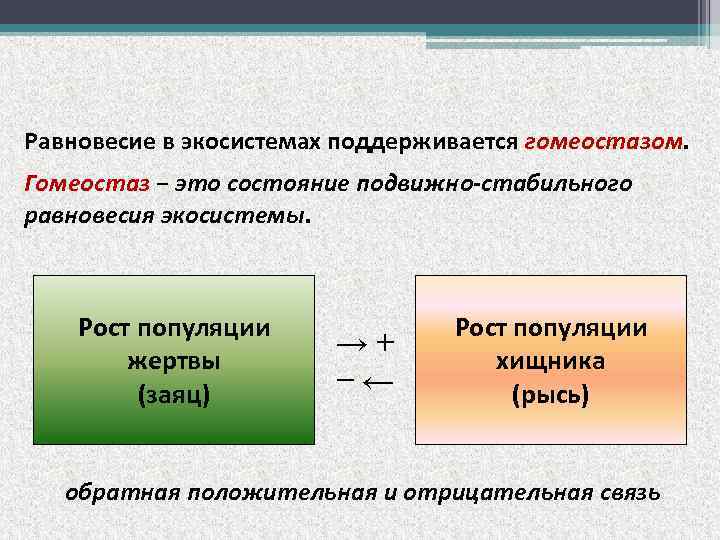 Гомеостаз экосистемы презентация