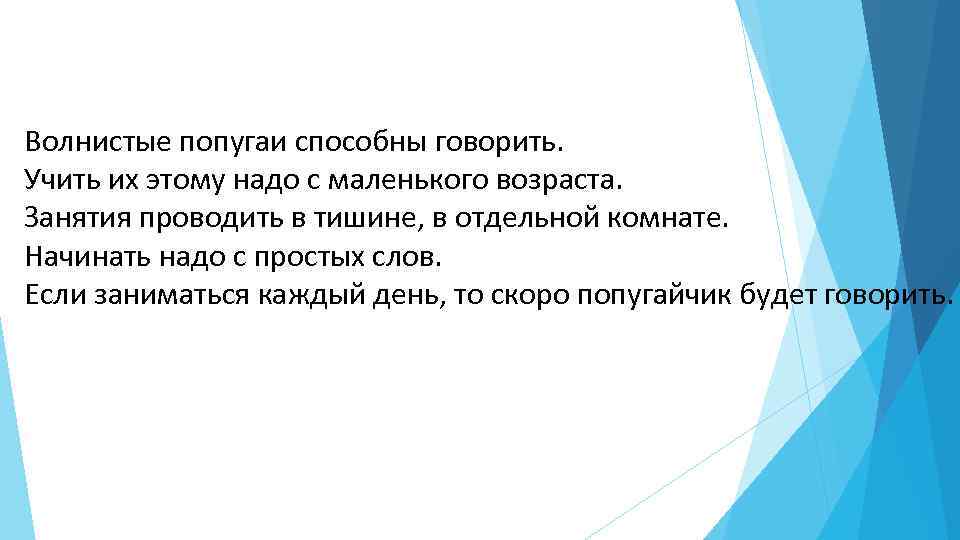 Волнистые попугаи способны говорить. Учить их этому надо с маленького возраста. Занятия проводить в