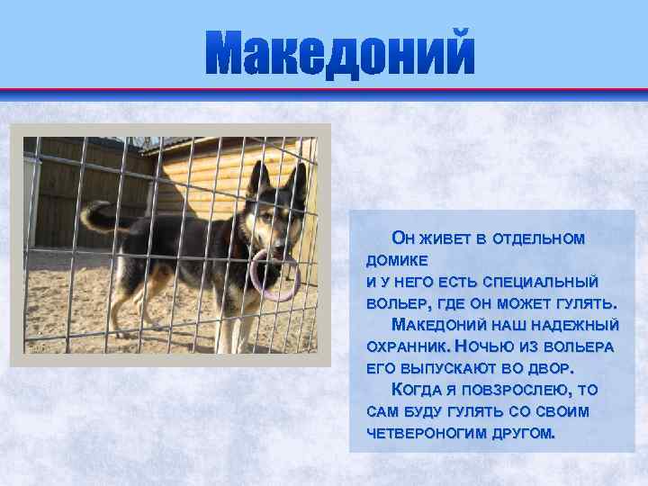ОН ЖИВЕТ В ОТДЕЛЬНОМ ДОМИКЕ И У НЕГО ЕСТЬ СПЕЦИАЛЬНЫЙ ВОЛЬЕР, ГДЕ ОН МОЖЕТ