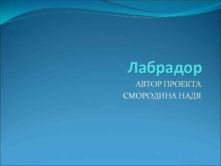 Лабрадор АВТОР ПРОЕКТА СМОРОДИНА НАДЯ 