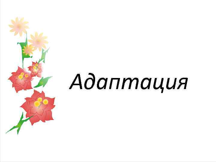 Адаптация 