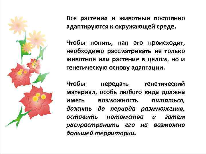 Все растения и животные постоянно адаптируются к окружающей среде. Чтобы понять, как это происходит,