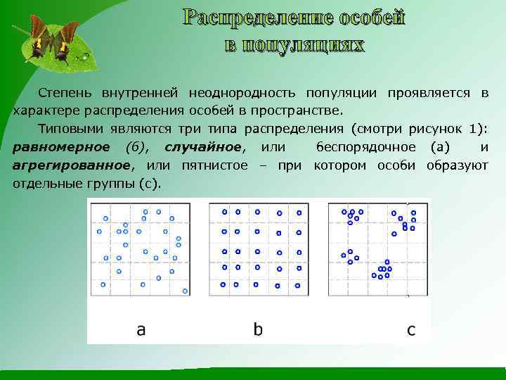 Формы существования особей в популяции