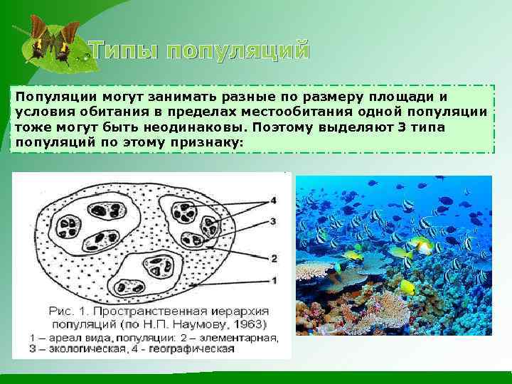 Функционирование популяции в природе презентация 9 класс пономарева и н