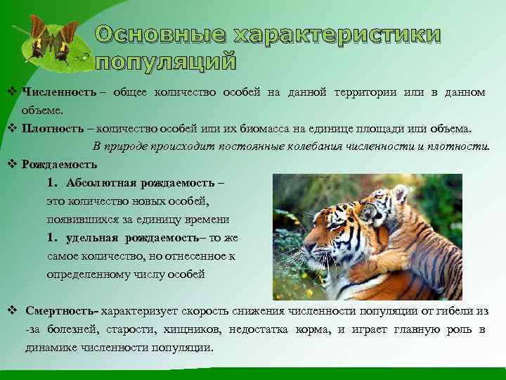 Количество общий видов животных. Характеристики популяции. Характеристики популяций в экологии.