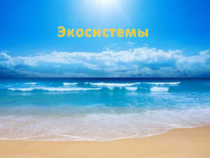 Экосистемы 