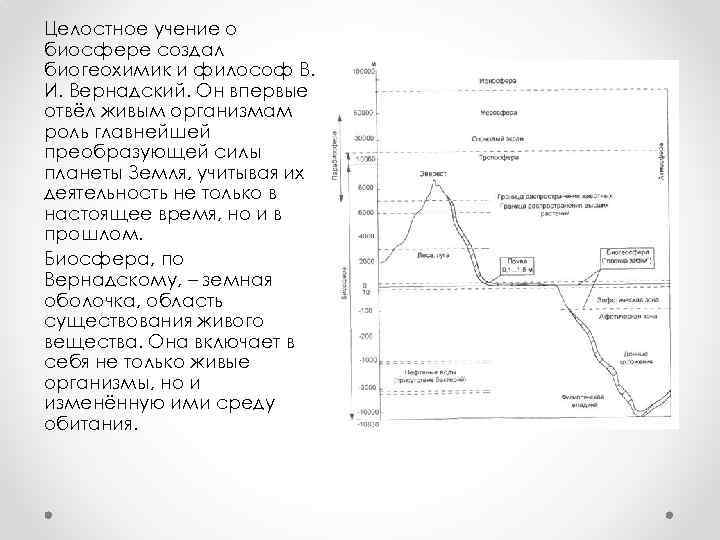 Целостное учение о биосфере создал биогеохимик и философ В. И. Вернадский. Он впервые отвёл