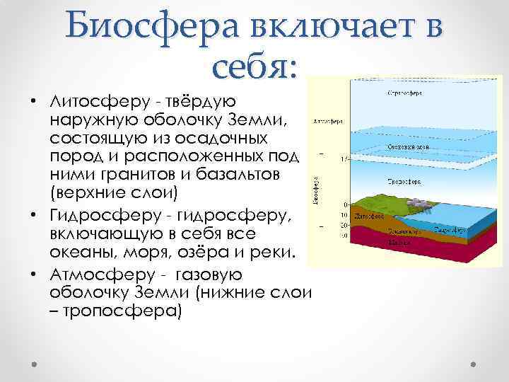 Верхняя часть литосферы входит в состав биосферы. Биосфера оболочка земли схема. Биосфера земли литосфера. Литосфера атмосфера гидросфера Биосфера стратосфера. Наружная оболочка земли это Биосфера.