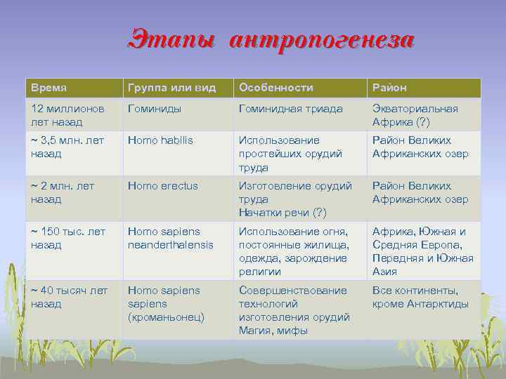 Этапы антропогенеза Время Группа или вид Особенности Район 12 миллионов лет назад Гоминиды Гоминидная