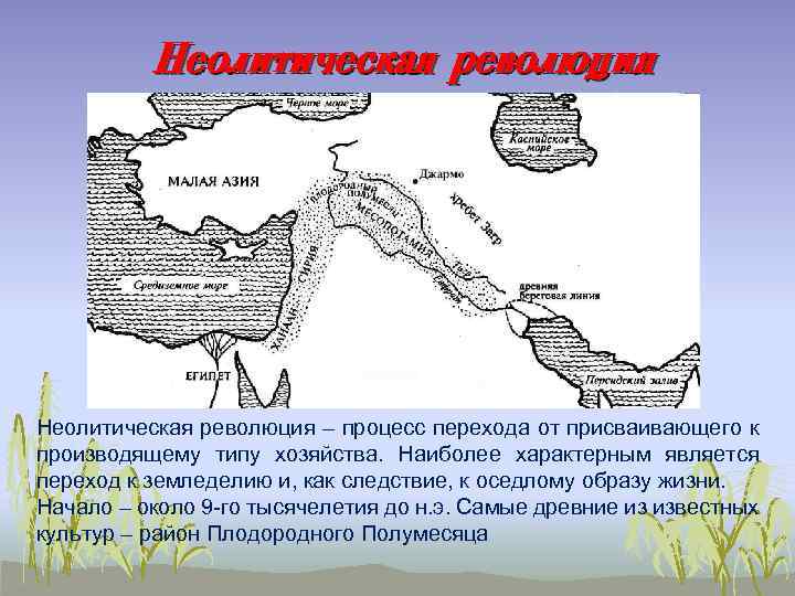 Неолитическая революция – процесс перехода от присваивающего к производящему типу хозяйства. Наиболее характерным является