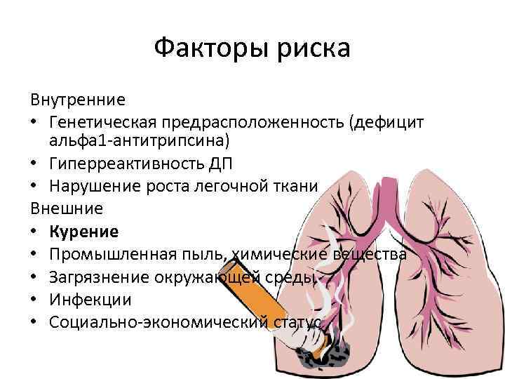 Факторы риска Внутренние • Генетическая предрасположенность (дефицит альфа 1 -антитрипсина) • Гиперреактивность ДП •