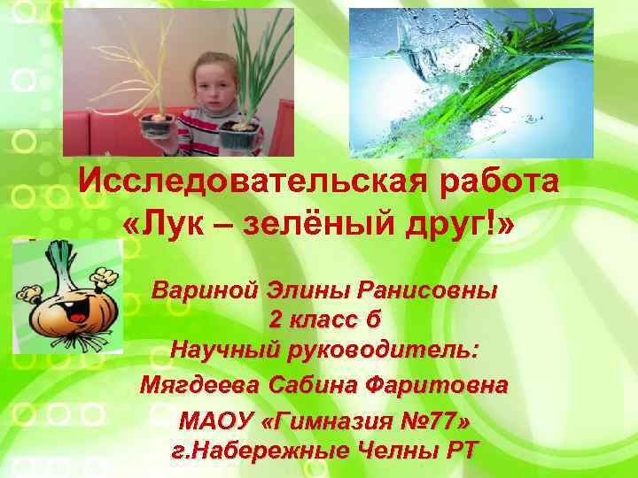 Исследовательская работа «Лук – зелёный друг!» Вариной Элины Ранисовны 2 класс б Научный руководитель: