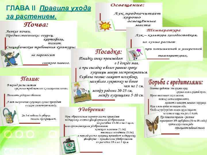 ГЛАВА II Правила ухода за растением. 