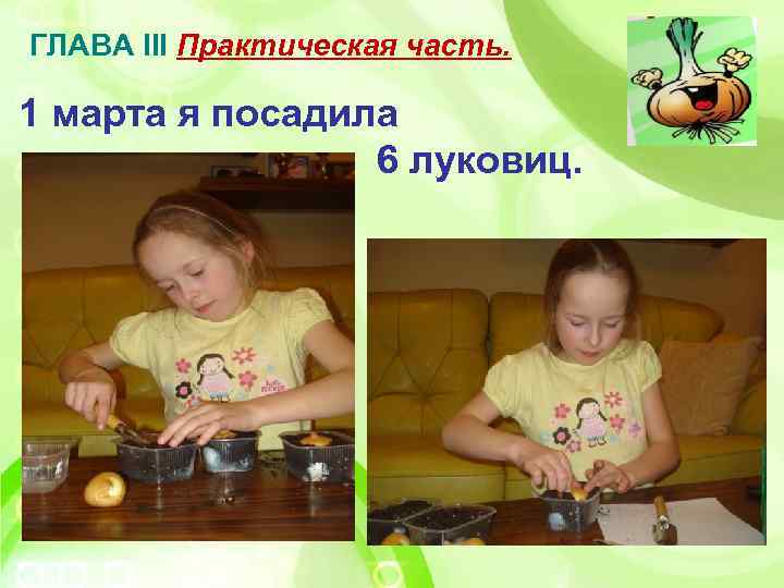 ГЛАВА III Практическая часть. 1 марта я посадила 6 луковиц. 