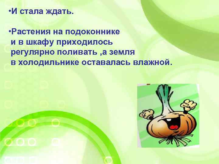  • И стала ждать. • Растения на подоконнике и в шкафу приходилось регулярно