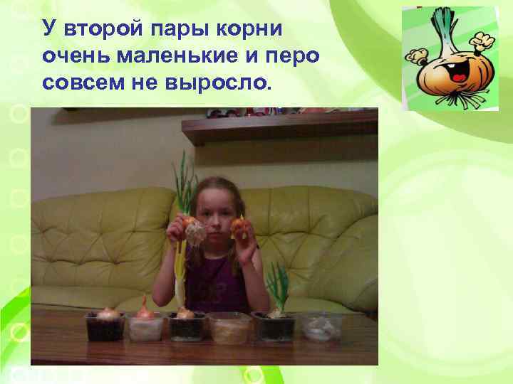 У второй пары корни очень маленькие и перо совсем не выросло. 