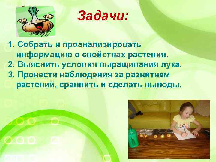 Задачи: 1. Собрать и проанализировать информацию о свойствах растения. 2. Выяснить условия выращивания лука.