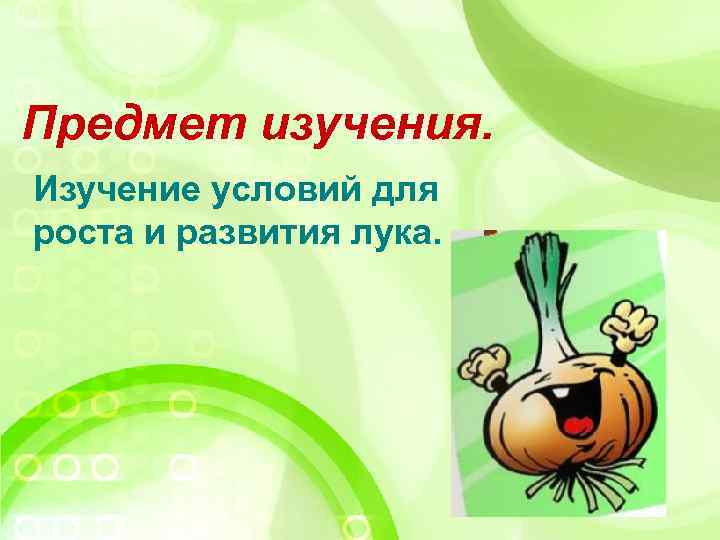 Предмет изучения. Изучение условий для роста и развития лука. 