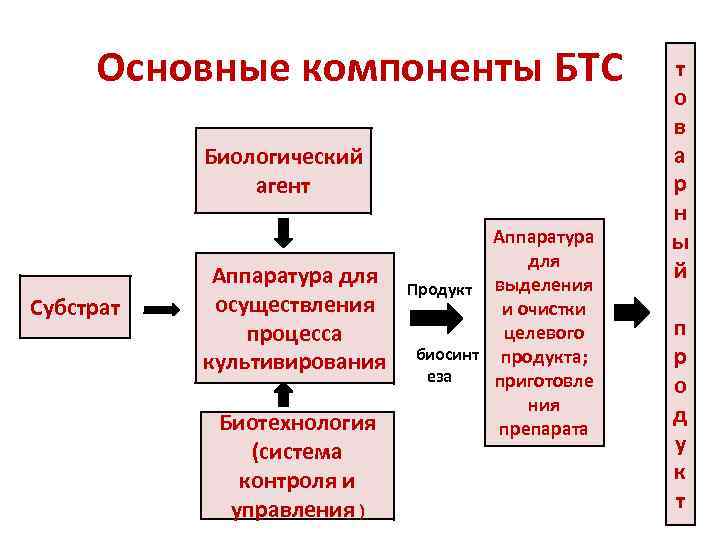 Общее биологическое образование. Основные компоненты биотехнологической системы. «Основные составляющие биотехнологического процесса их роль. Элементы составляющие биотехнологический процесс. Субстраты для биотехнологического процесса.