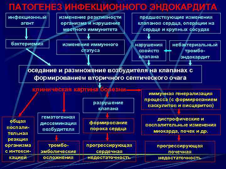 ПАТОГЕНЕЗ ИНФЕКЦИОННОГО ЭНДОКАРДИТА инфекционный агент изменение реактивности организма и нарушение местного иммунитета бактериемия изменение