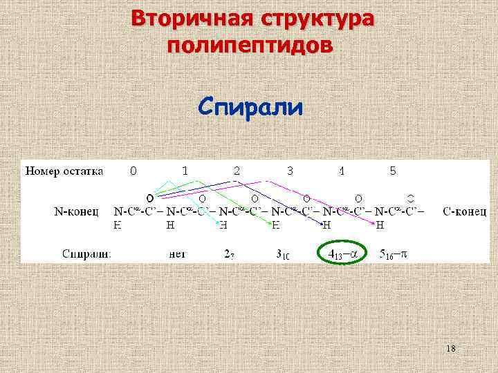 Вторичная структура полипептидов Спирали 18 