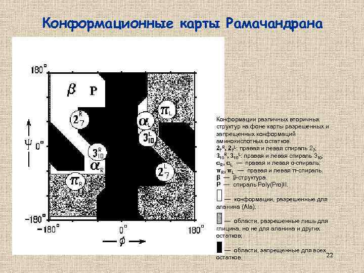 Конформационные карты Рамачандрана Конформации различных вторичных структур на фоне карты разрешенных и запрещенных конформаций