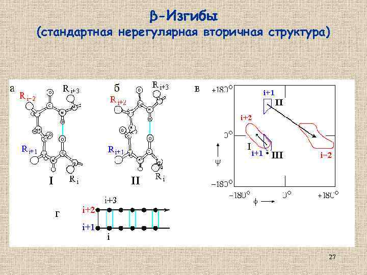 β-Изгибы (стандартная нерегулярная вторичная структура) 27 