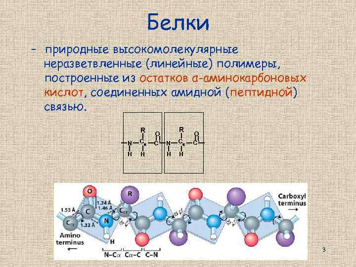 Белки - природные высокомолекулярные неразветвленные (линейные) полимеры, построенные из остатков α-аминокарбоновых кислот, соединенных амидной