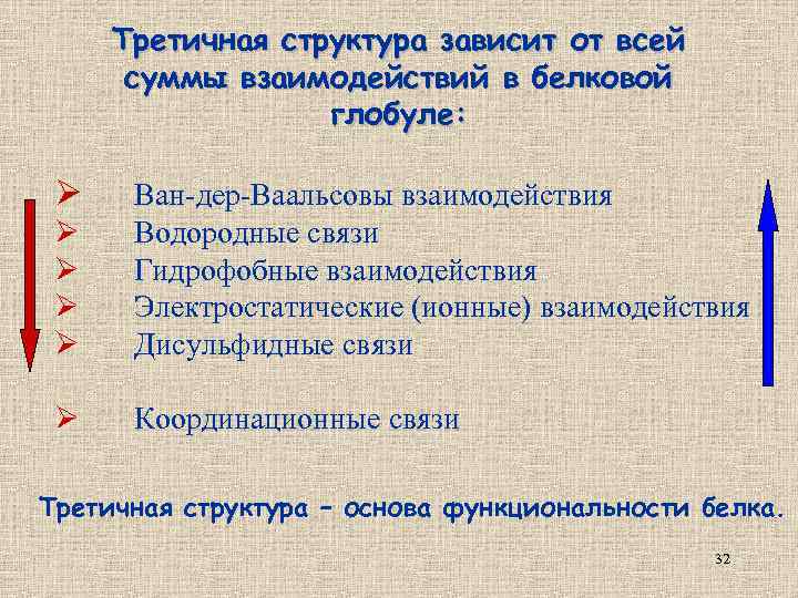 Третичная структура зависит от всей суммы взаимодействий в белковой глобуле: Ø Ø Ø Ван-дер-Ваальсовы