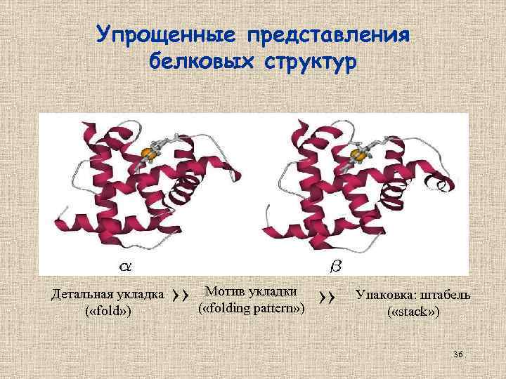 Упрощенные представления белковых структур Детальная укладка ( «fold» ) Мотив укладки ›› ( «folding