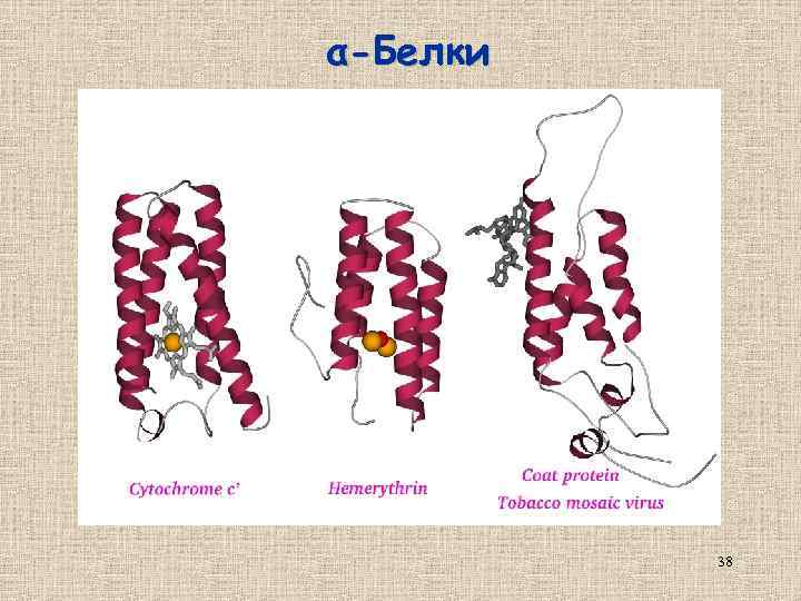 α-Белки 38 