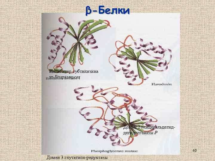 β-Белки Ингибитор субтилизина из Streptomyces Домен 2 глицеральдегидрогеназы Р 40 Домен 3 глутатион-редуктазы 