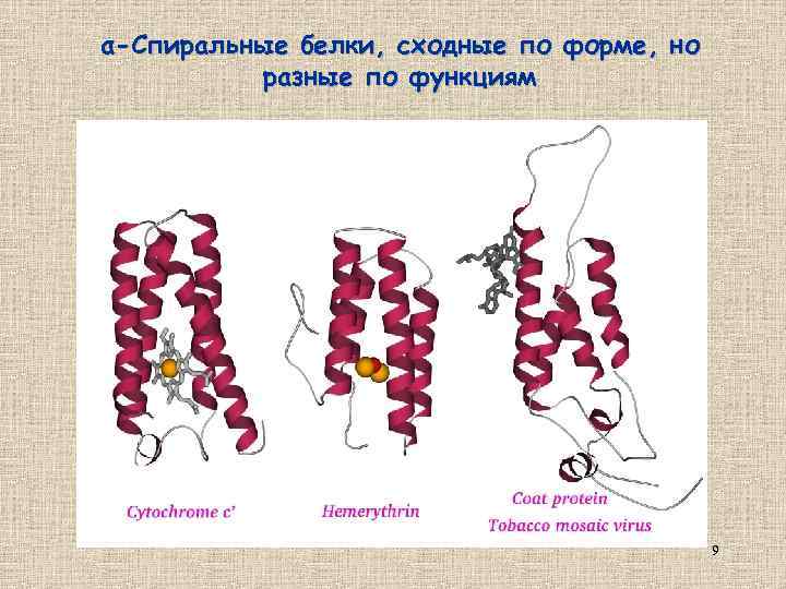 α-Спиральные белки, сходные по форме, но разные по функциям 9 