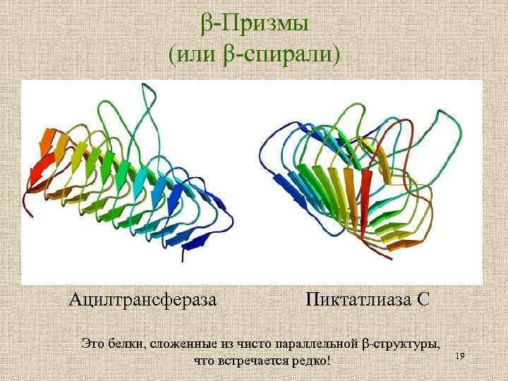  -Призмы (или β-спирали) Ацилтрансфераза Пиктатлиаза С Это белки, сложенные из чисто параллельной β-структуры,