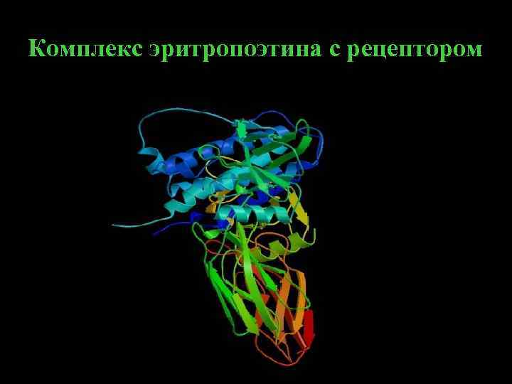 Комплекс эритропоэтина с рецептором. 23 