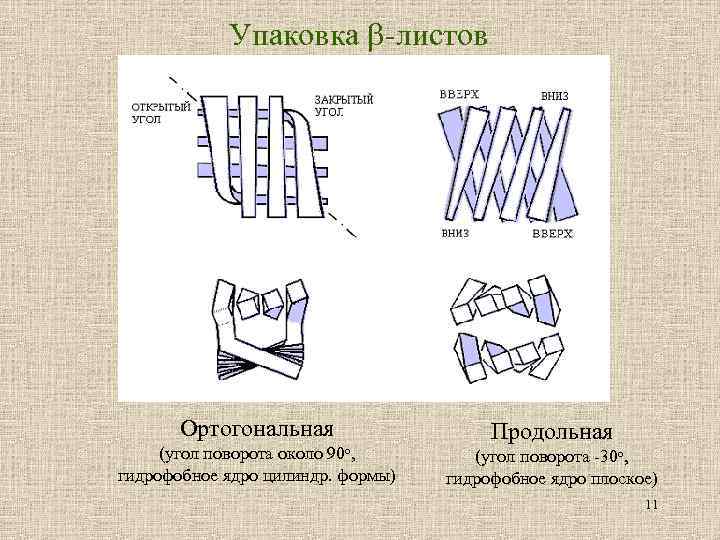  Упаковка -листов Ортогональная (угол поворота около 90 о, гидрофобное ядро цилиндр. формы) Продольная