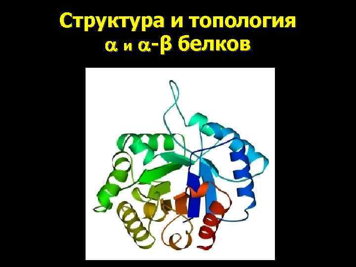 Структура и топология и -β белков 1 