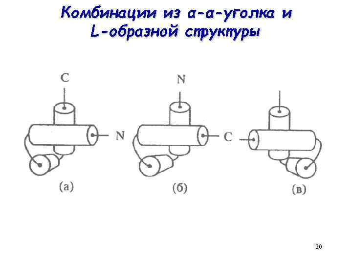 Комбинации из α-α-уголка и L-образной структуры 20 