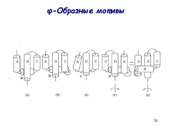 φ-Образные мотивы 23 