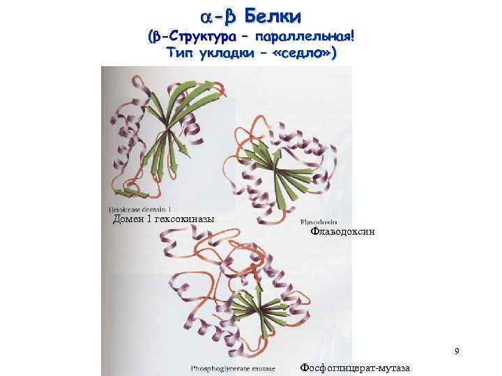  -β Белки (β-Структура – параллельная! Тип укладки – «седло» ) Домен 1 гексокиназы