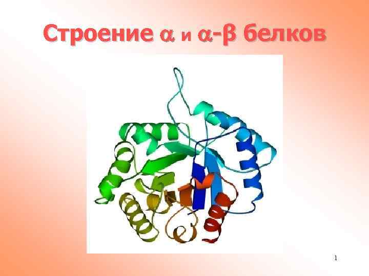 Строение и -β белков 1 