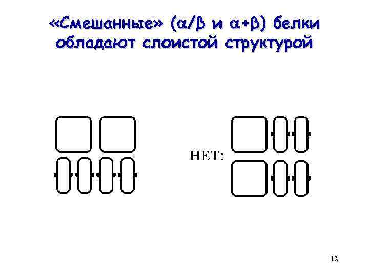  «Смешанные» ( /β и +β) белки обладают слоистой структурой 12 