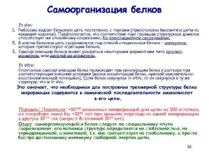 Самоорганизация белков In vivo: 1. Рибосома выдает белковую цепь постепенно, с паузами (приостановка биосинтеза
