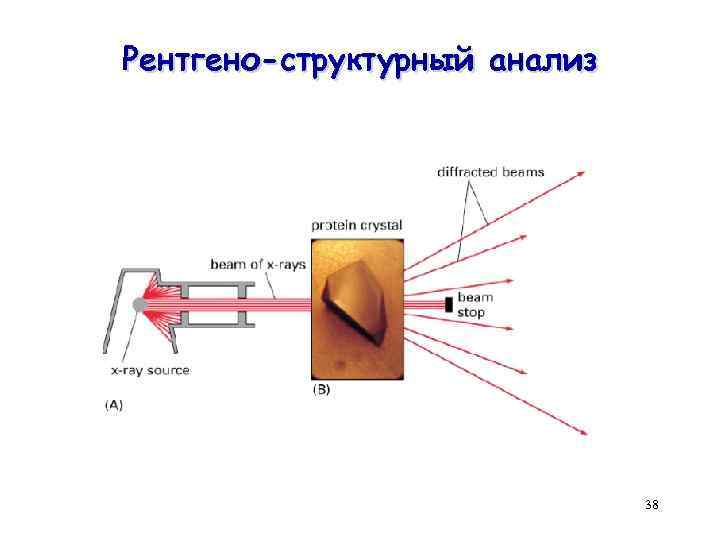 Рентгено-структурный анализ 38 