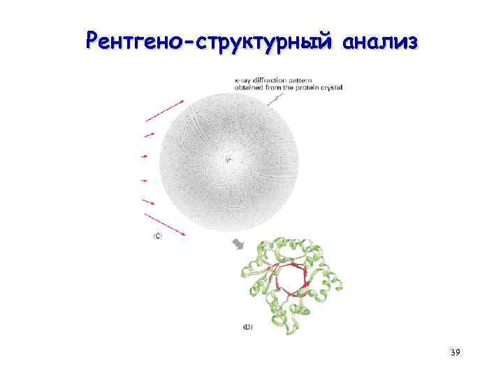 Рентгено-структурный анализ 39 