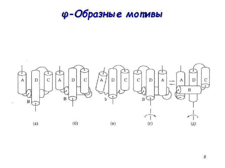 φ-Образные мотивы 9 