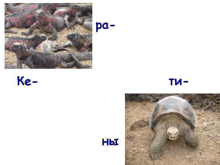 ра- ти- Ке- ны 7 