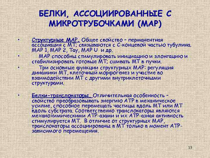 БЕЛКИ, АССОЦИИРОВАННЫЕ С МИКРОТРУБОЧКАМИ (МАР) • • Структурные МАР. Общее свойство – перманентная ассоциация
